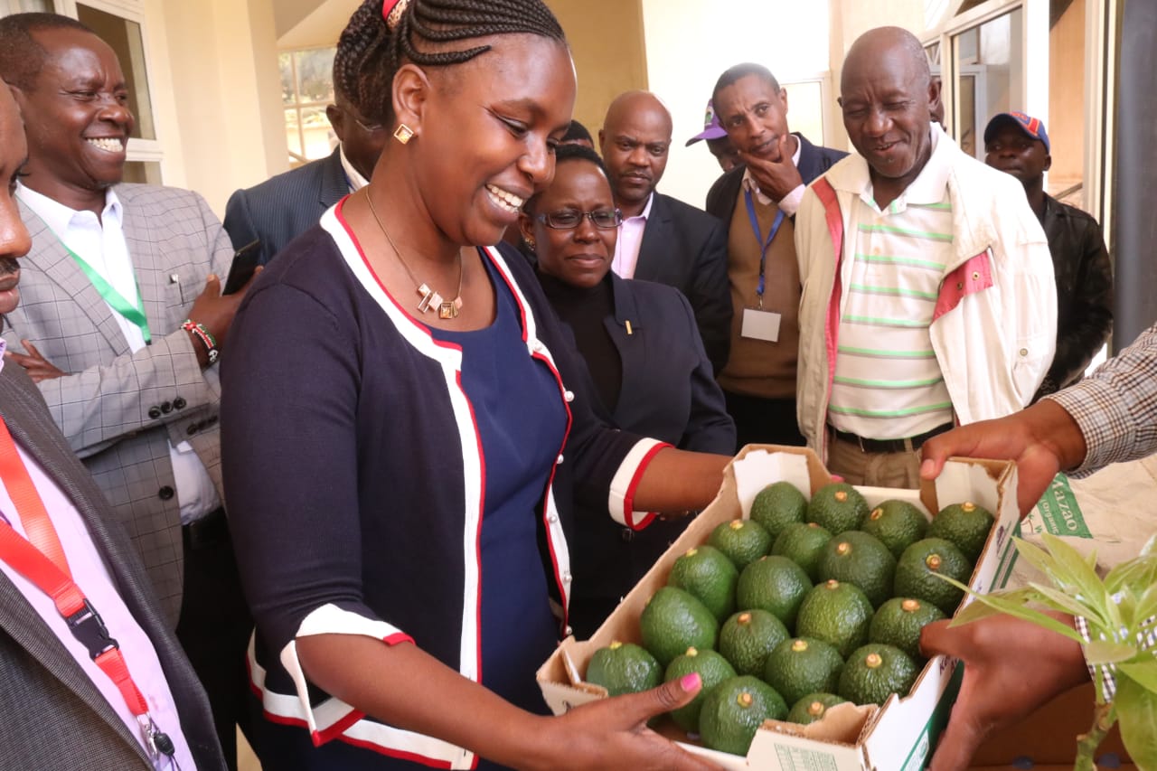 MERU COUNTY AVOCADO STAKEHOLDERS CONVENED